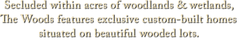 Secluded within acres of woodlands & wetlands, The Woods features exclusive custom-built homes situated on beautiful wooded lots. 